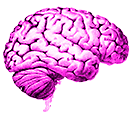 diseño de páginas web